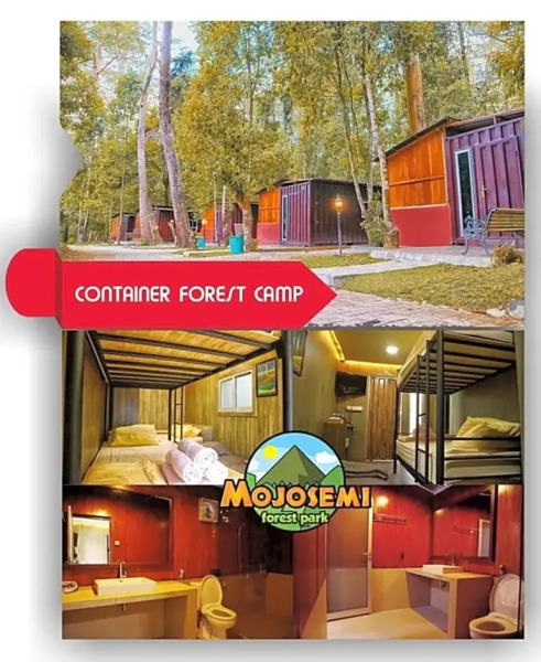 Lawu Forest Camp