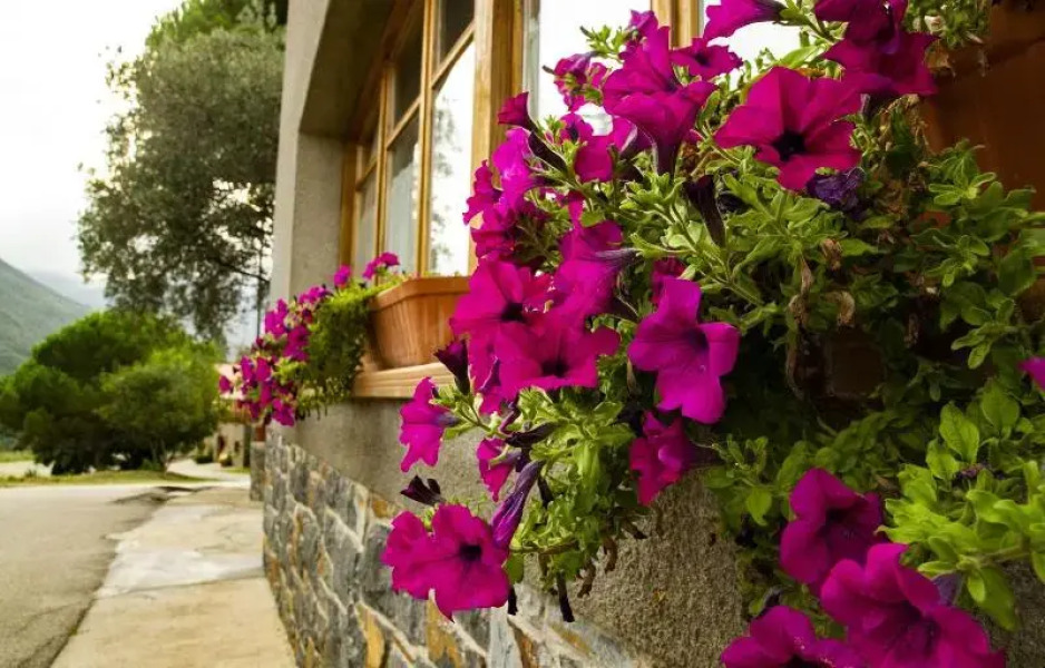 Oyo Hostal Montserrat