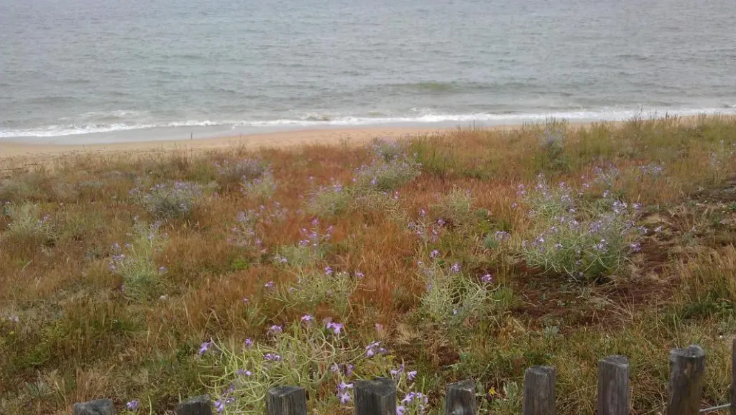 Résidence le plaisance