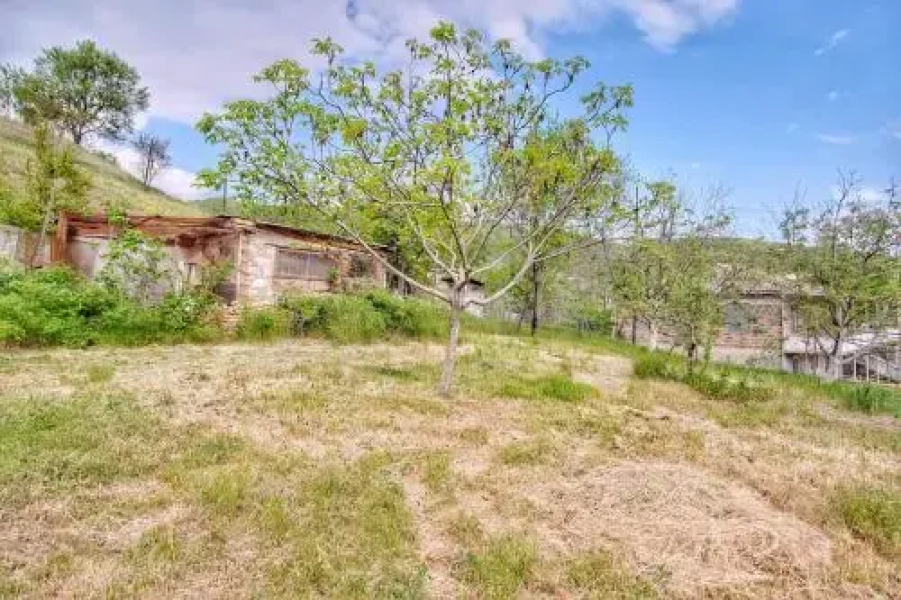 Saperavi House in Kakheti Region