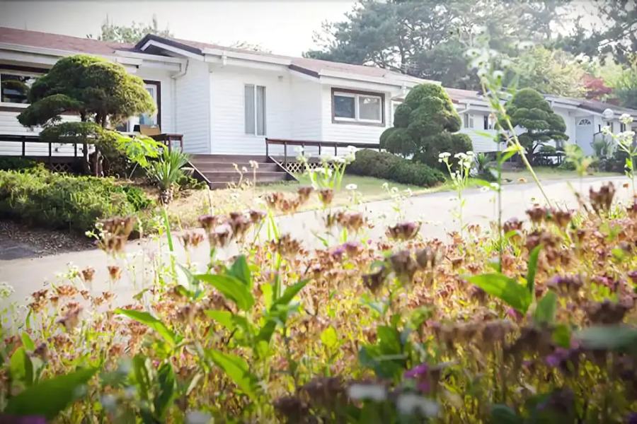 Taean Wood Fragrance Pension