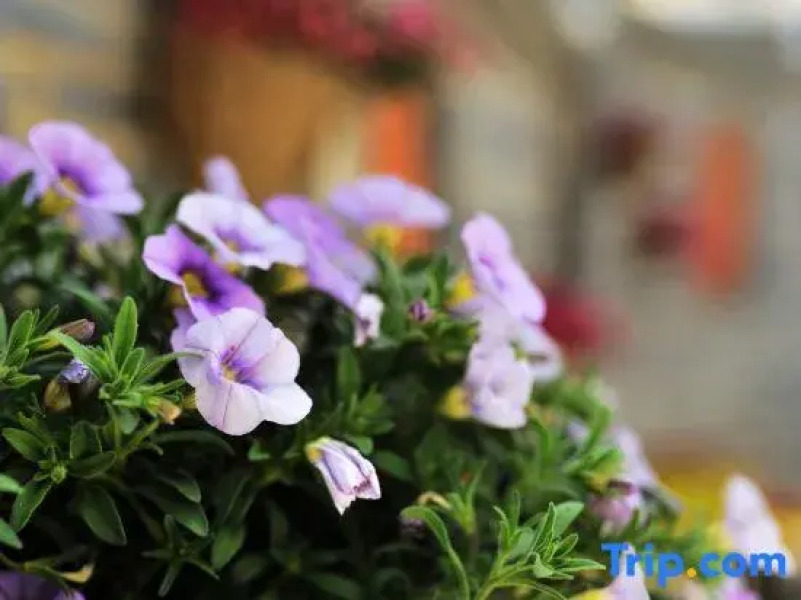 Ya Bei Boutique Hotel