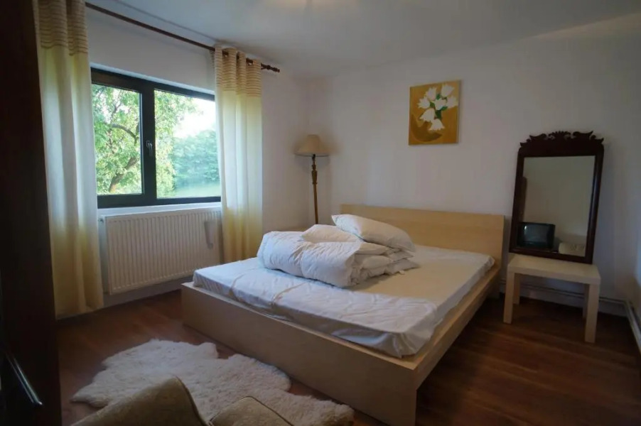 Casa Paltinu