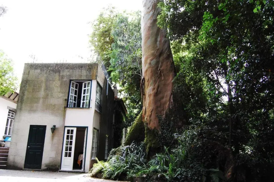 Casa de Esteiro