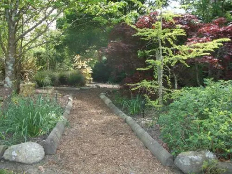 Fishtail Lodge B & B