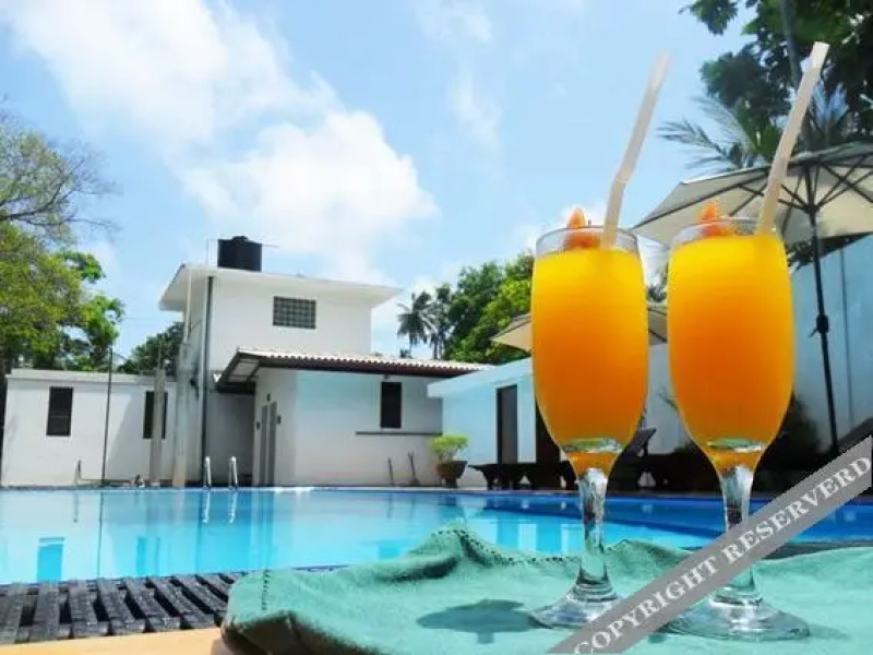 The Mangrovecave Hotel