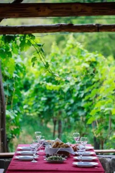 Nika Vacheishvili's guest house