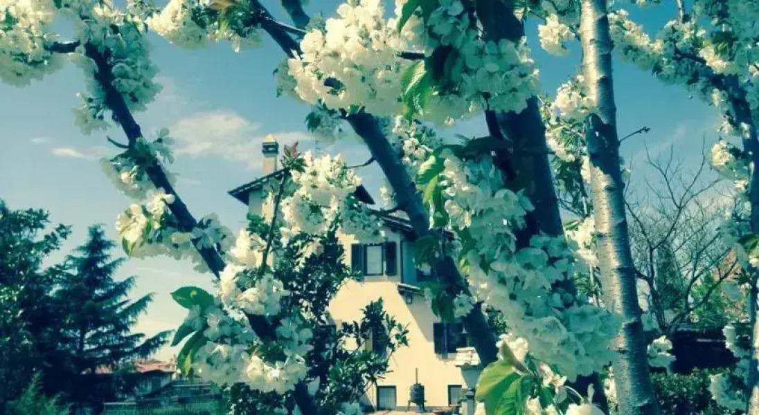 Al Casale di Sandro e Marina