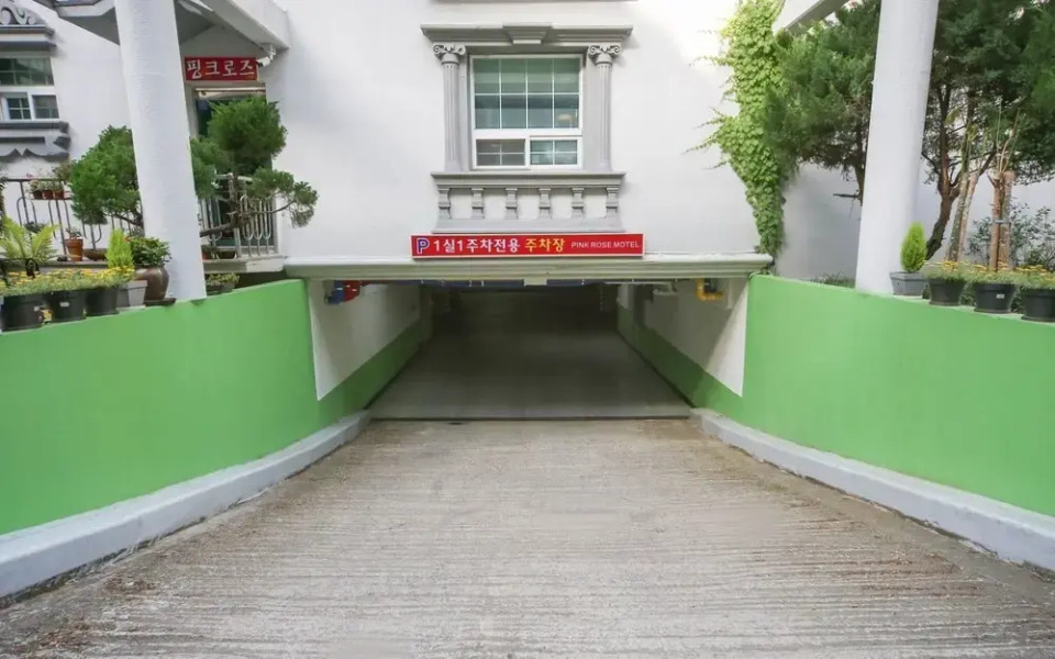 Gumi Geumosan Pink Rose