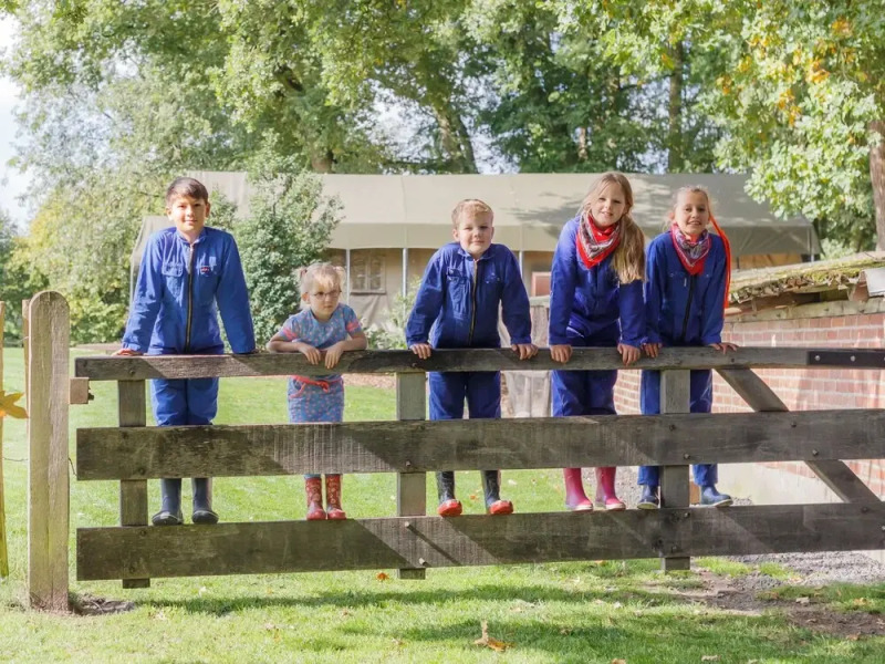 Luxury Lodge in Twente With Meadow Views