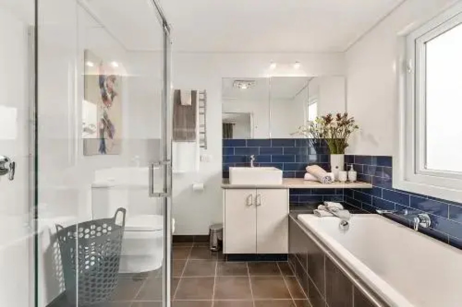 Blue Rosella on Piper