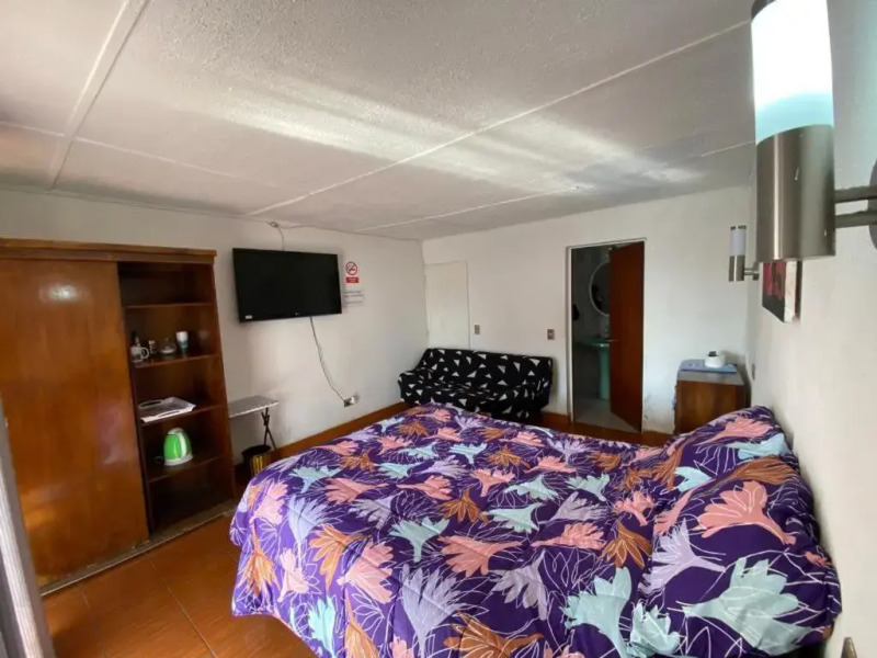 Palm Tree Hostel Los Vilos