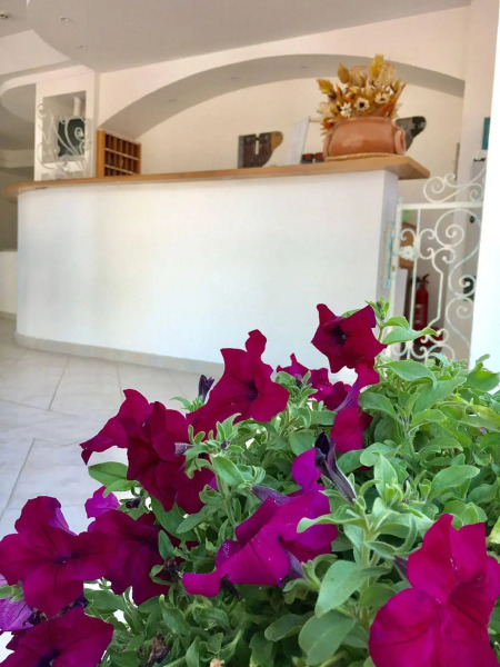 Il Nido dei Gabbiani