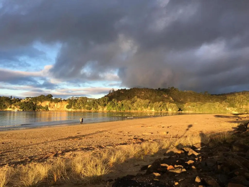 Waterfront Apartments Whitianga