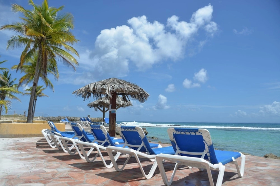 Sea Sun Manga Mangano