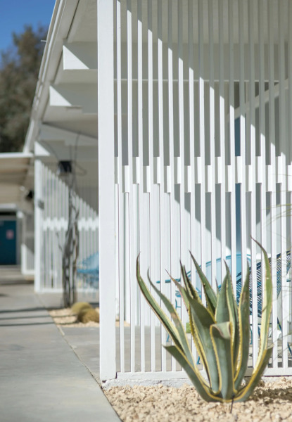 The Monkey Tree by AvantStay – Mid-Century Modern Oasis with Pool