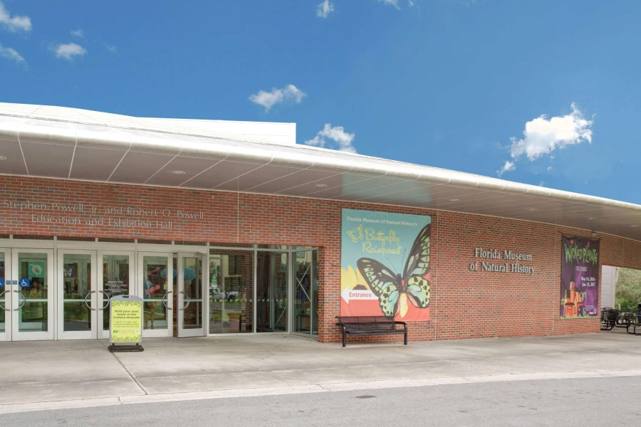 Super 8 by Wyndham Gainesville I-75 Hospital University Area