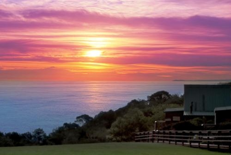 Misty Mountain Lodge and Chalets