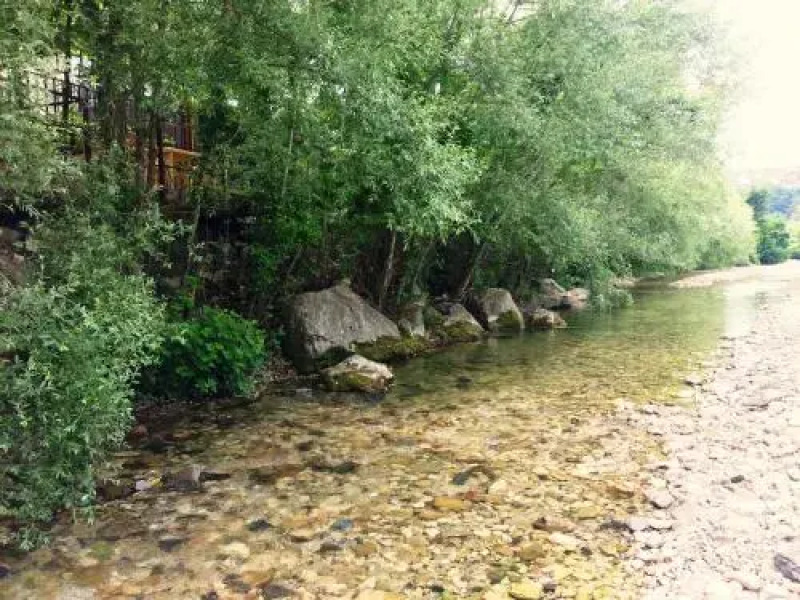 Guest House Shokolad