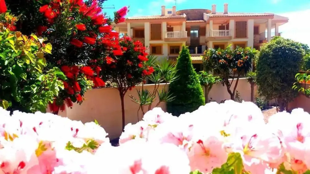 Deluxe garden flat near Terra-Mítica