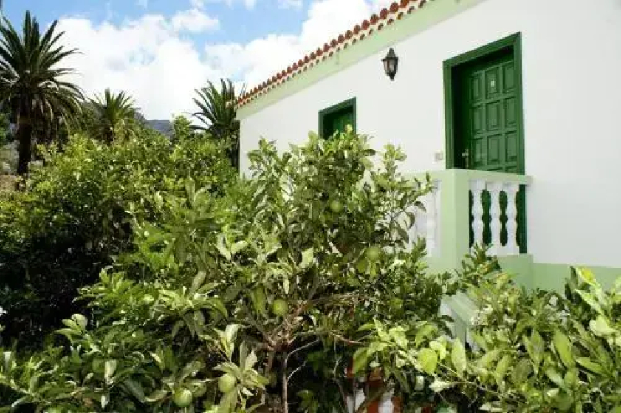 Apartamentos Nelly