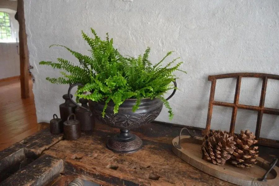 Vibes Bed & Breakfast