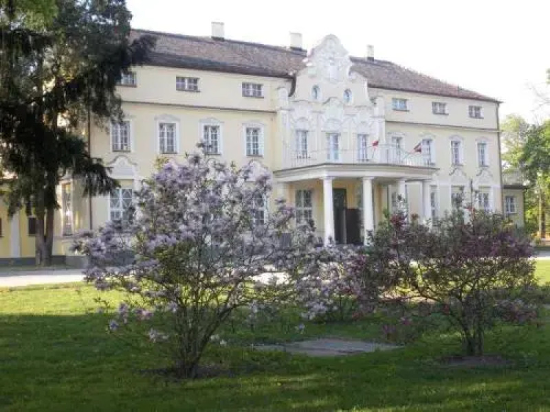 Hotel Palac Witaszyce