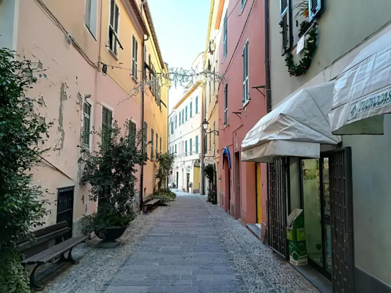 i fiori di santo stefano