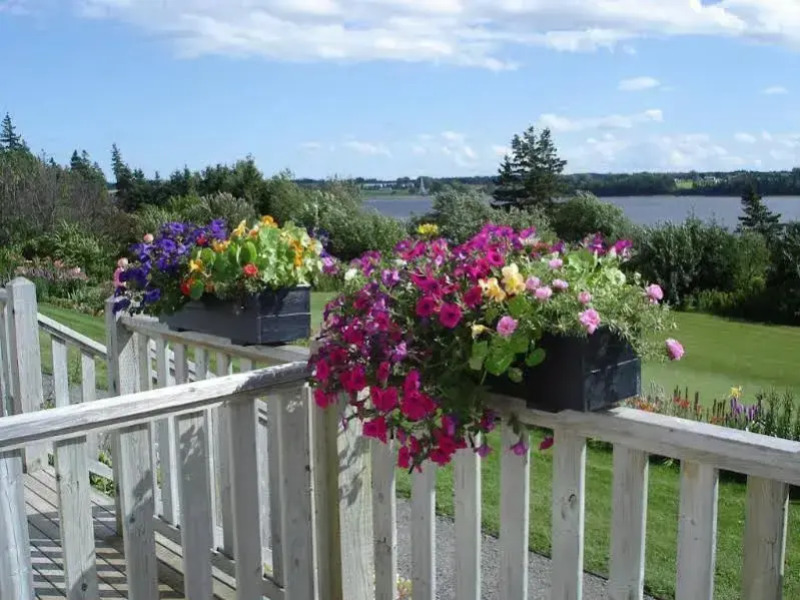 The Inn at St. Peters