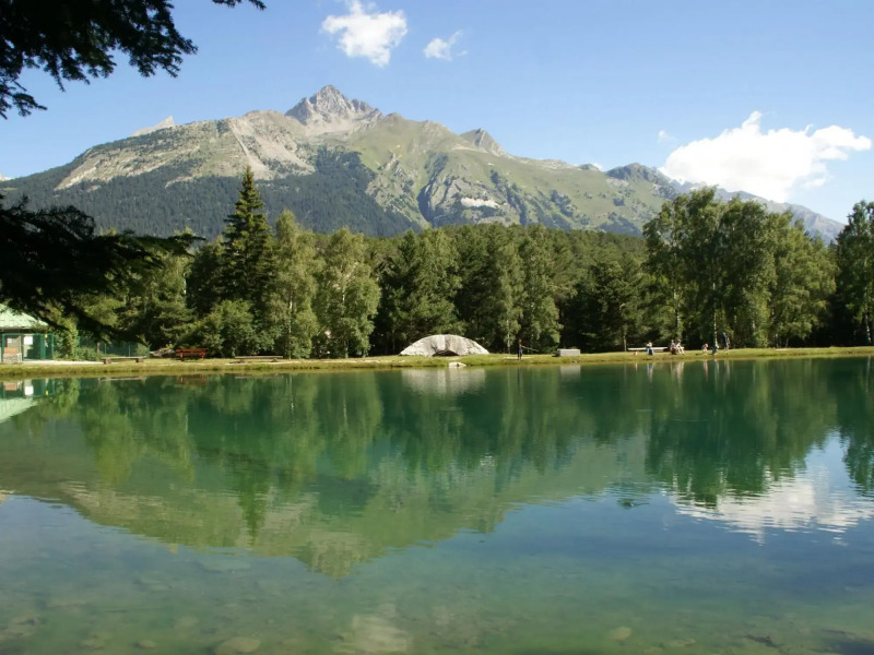 1/2 Cottage That Will be Perfect for Families With Children