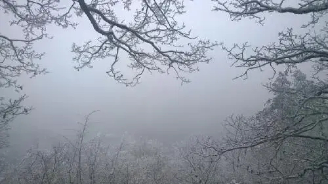 Apartment Nad Punkvou