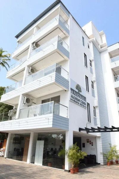 Treehouse Alchemy Creek Goa