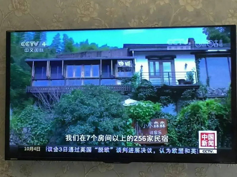 Deqing Mogan Mountain Jianxi Villa