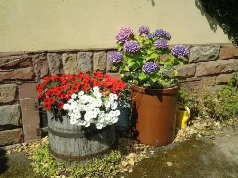 Gastehaus Zum Alten Schulhaus