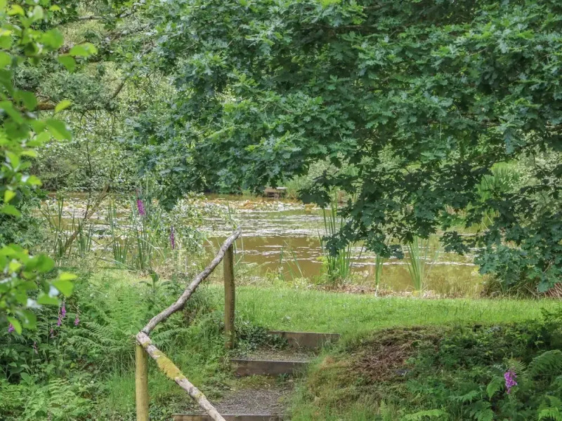 Birch Tree Kingslakes