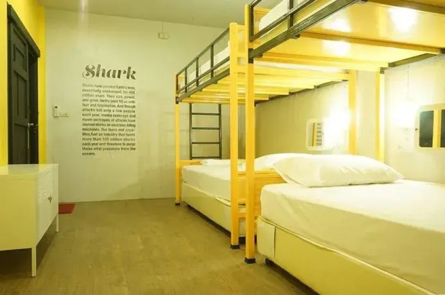 Monkey Dive Hostel Yolo Khaolak