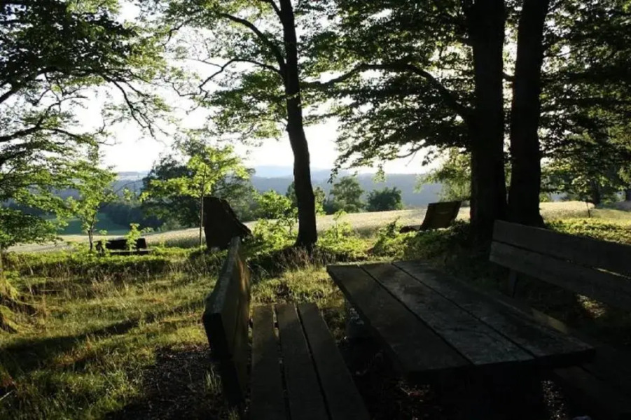 Apartment am Buchenhain