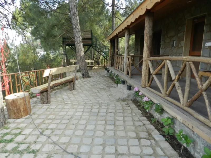 Nature Stay Kasauli Bed & Breakfast