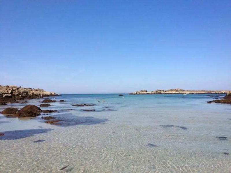 Maison Ile Grande, 3 pièces, 5 personnes - FR-1-542-41