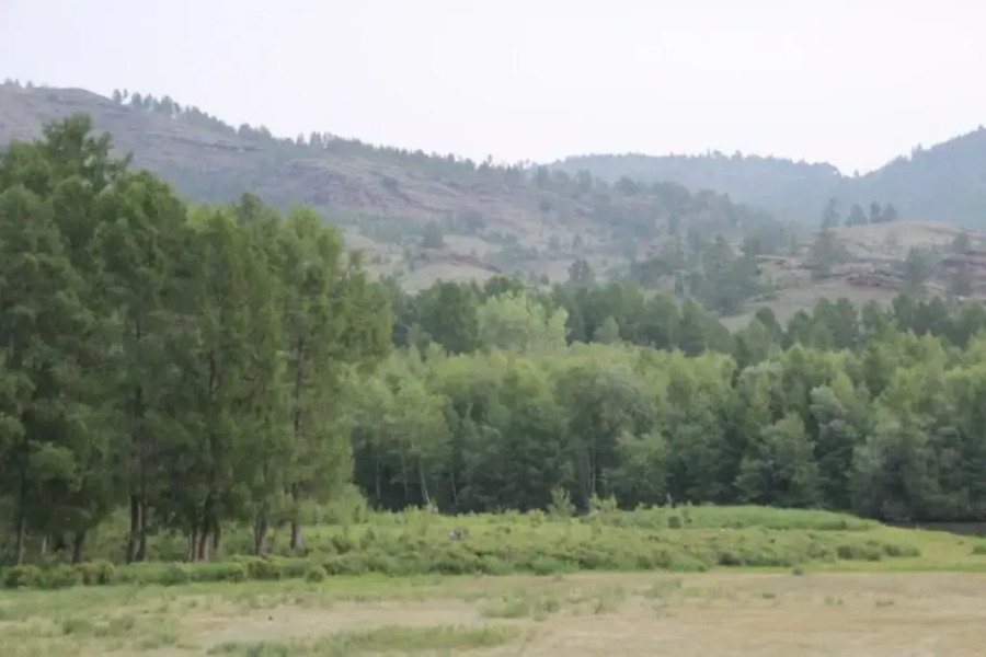 Altyin Ib Guest House	