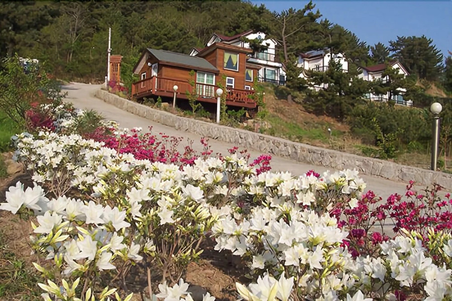 Yeongdeok Darnim Pension