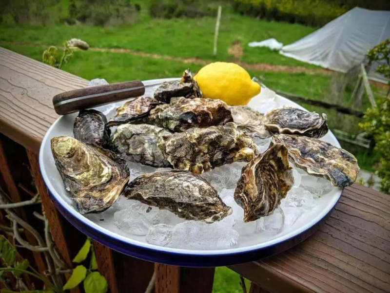 The Quail s Nest Retreat