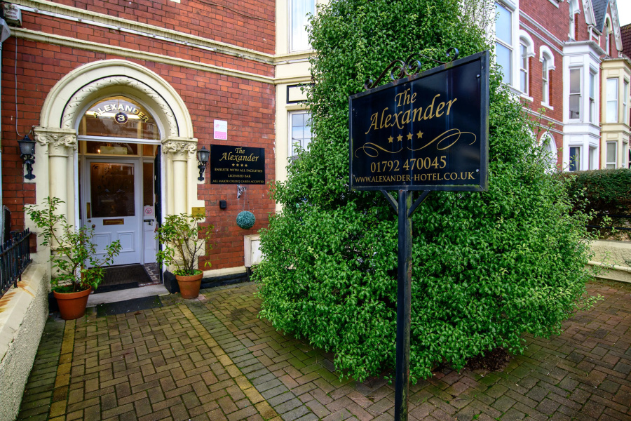 The Alexander