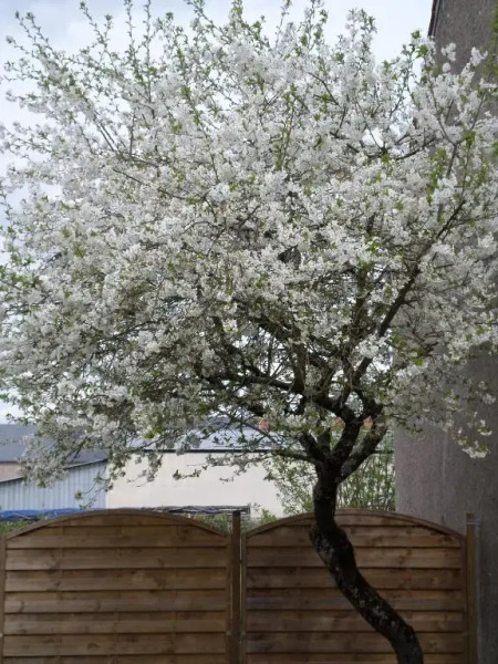 Gite L'opale by Gîtes de France