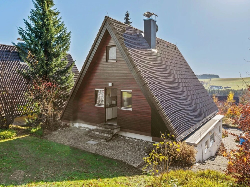 Detached House in a Holiday Park in the Hotzenwald With Terrace and Garden