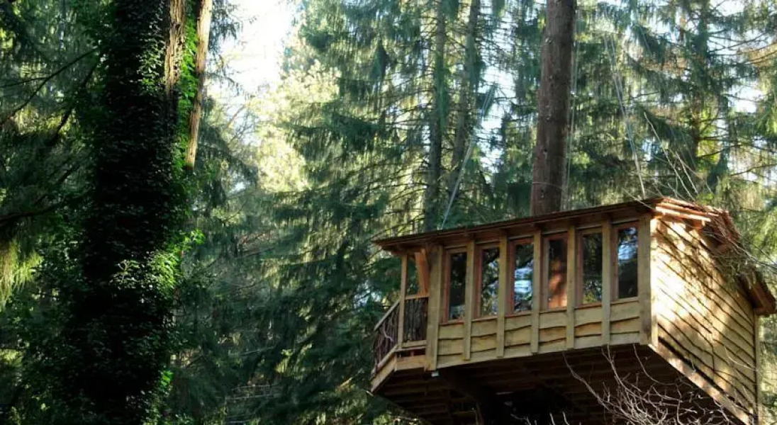 Cabañas en los Árboles