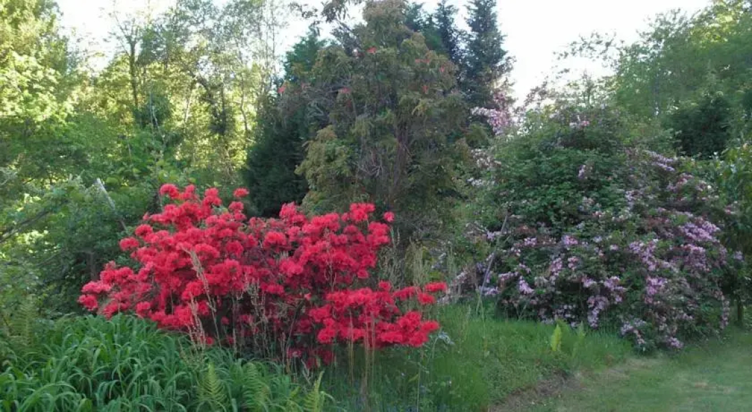 Gite Du Moulin De Hinx