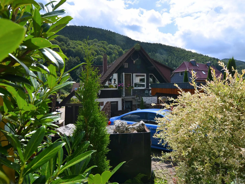 Apartment in Sieber With Nearby River