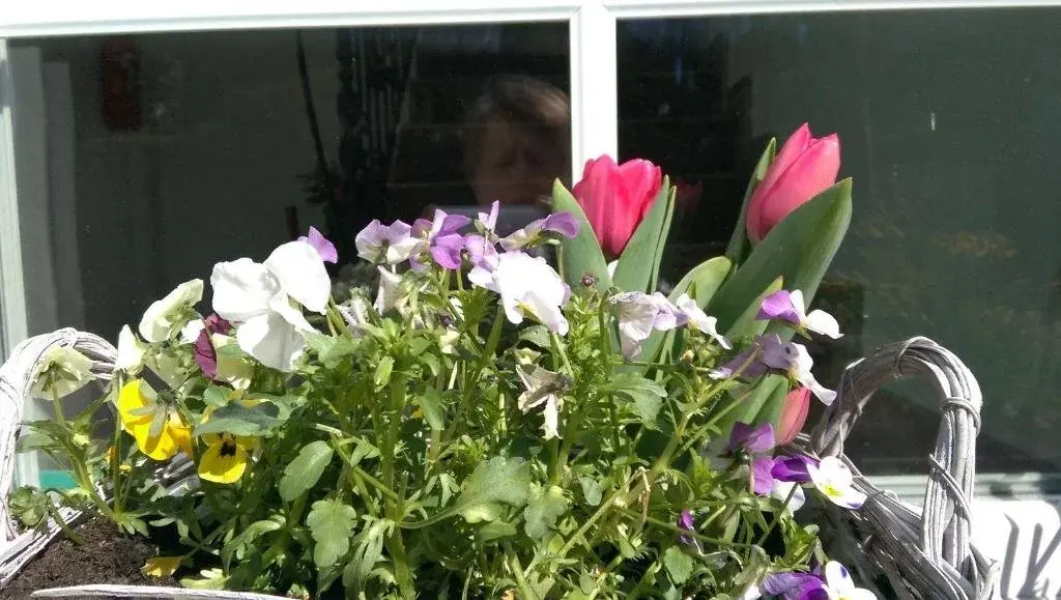 Alt-Stadtkyller Mühlenhotel