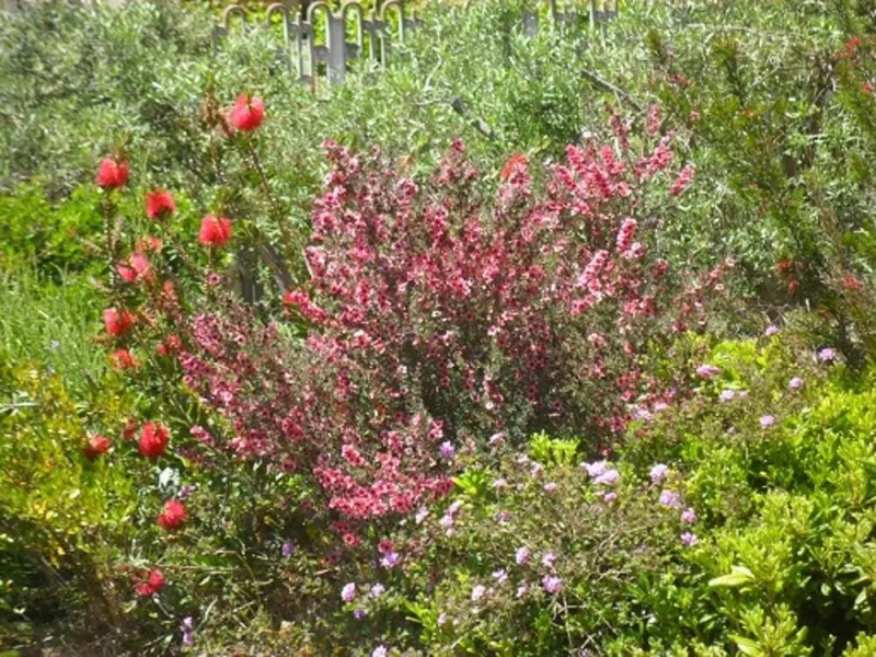 Villa With 4 Bedrooms in Chia, With Wonderful sea View, Furnished Garden and Wifi - 800 m From the Beach